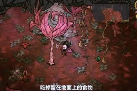 饥荒哈姆雷特藤蔓如何获得(图2) 饥荒哈姆雷特藤蔓如何获得(图2)