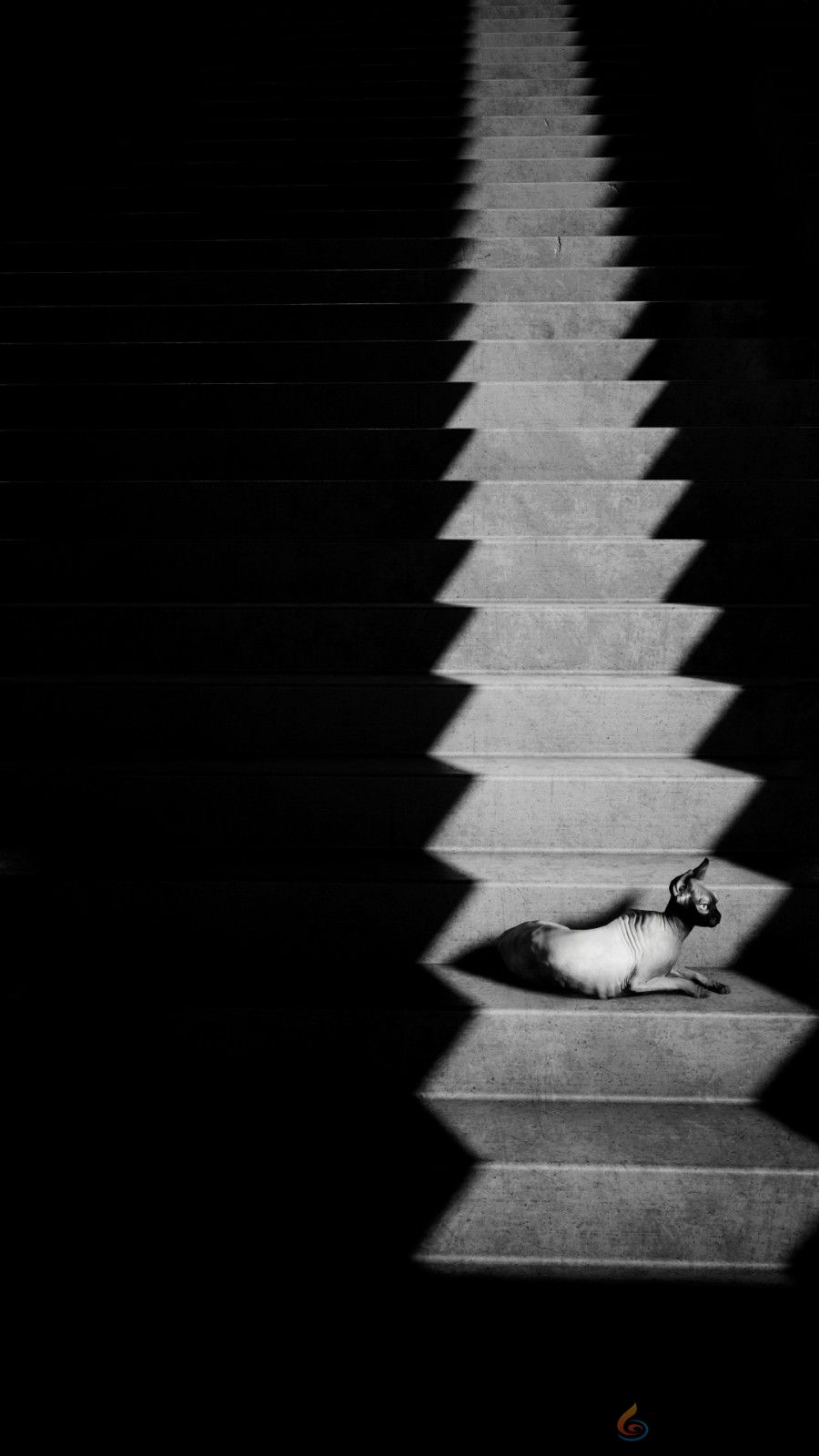 《赛博朋克2077》摄影美图欣赏 绝美游戏画面让人沉醉(图5) 《赛博朋克2077》摄影美图欣赏 绝美游戏画面让人沉醉(图5)