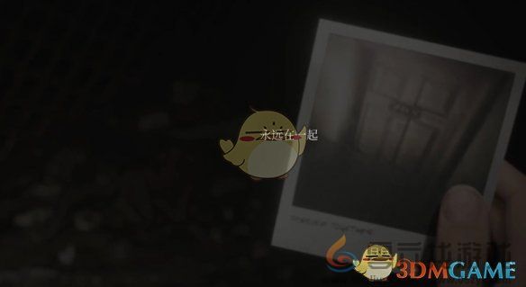 寂静岭2重制版奇怪照片5名字以及位置详细介绍(图3) 寂静岭2重制版奇怪照片5名字以及位置详细介绍(图3)