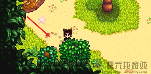 星露谷物语姜岛北部金核桃在哪(图1) 星露谷物语姜岛北部金核桃在哪(图1)