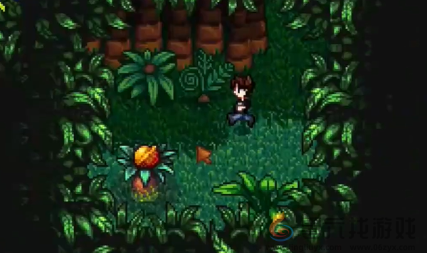 星露谷物语姜岛北部金核桃在哪(图2) 星露谷物语姜岛北部金核桃在哪(图2)