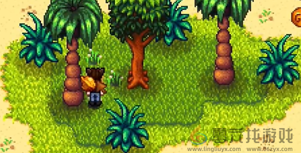 星露谷物语姜岛北部金核桃在哪(图3) 星露谷物语姜岛北部金核桃在哪(图3)